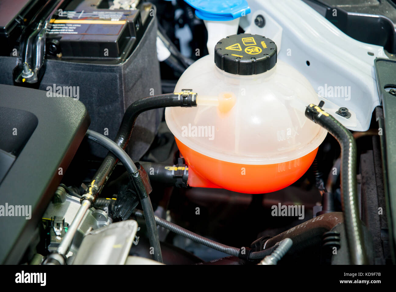 Chiudere il contenitore del liquido di raffreddamento in un auto del vano motore Foto Stock