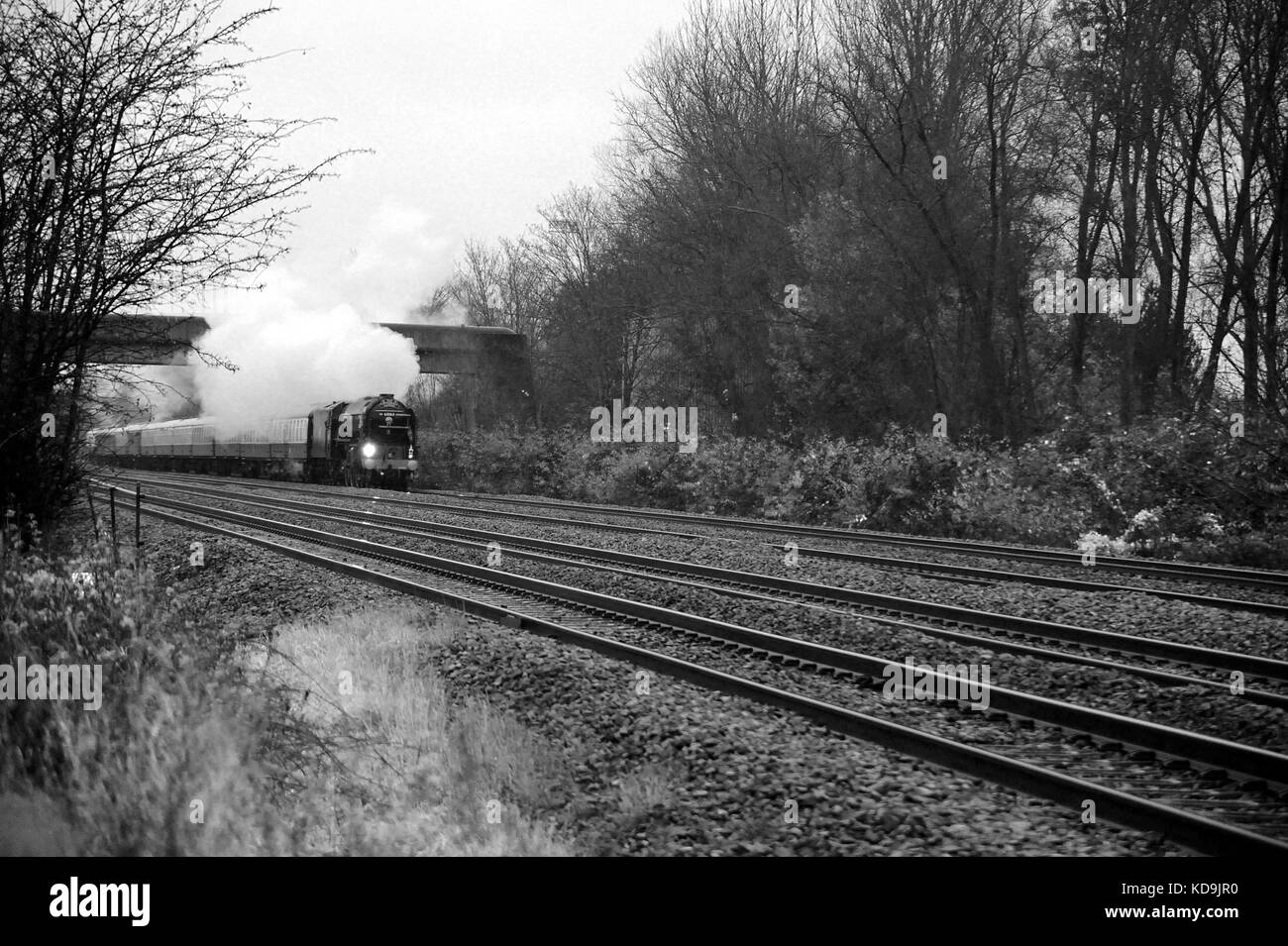 60163 'Tornado' (sul suo primo treno pubblico in b.r. blu) teste a "cattedrali express' a bishton. Foto Stock