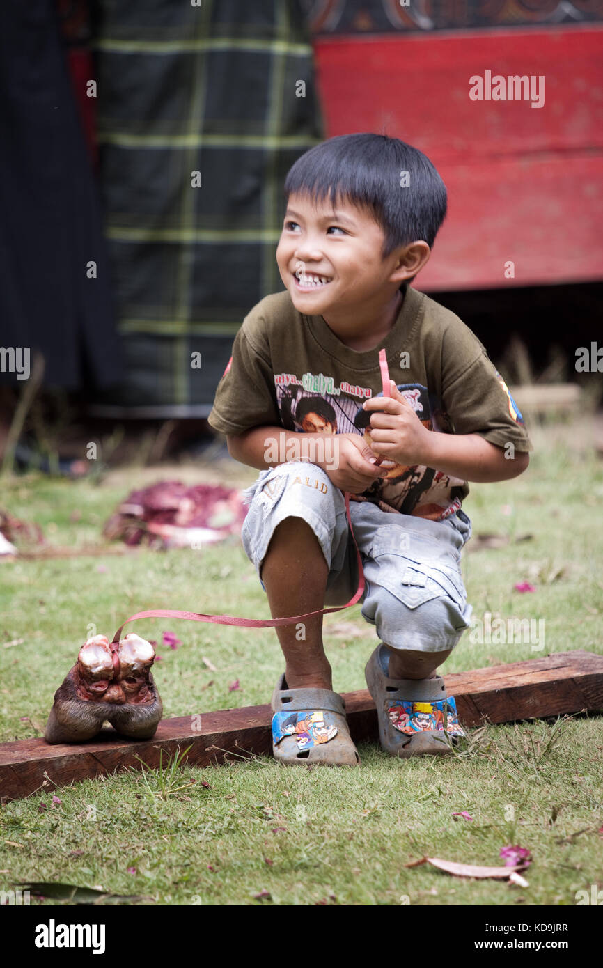 Bambino torajan grinning con piacere malizioso tenendo un sacrificati buffalo piede su una linea. un nuovo giocattolo per bambini nella cultura torajan. Foto Stock