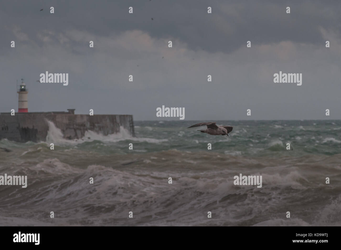 Newhaven, East Sussex, Regno Unito..11 ottobre 2017..Aumentando il vento nel tardo pomeriggio, le onde e il surf creano alcune scene spettacolari sulla costa meridionale. Foto Stock