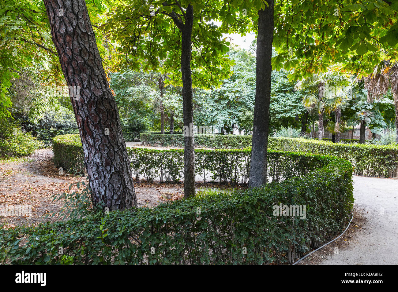 La sinuosa passerella nel parco verdeggiante con recinto naturale Foto Stock