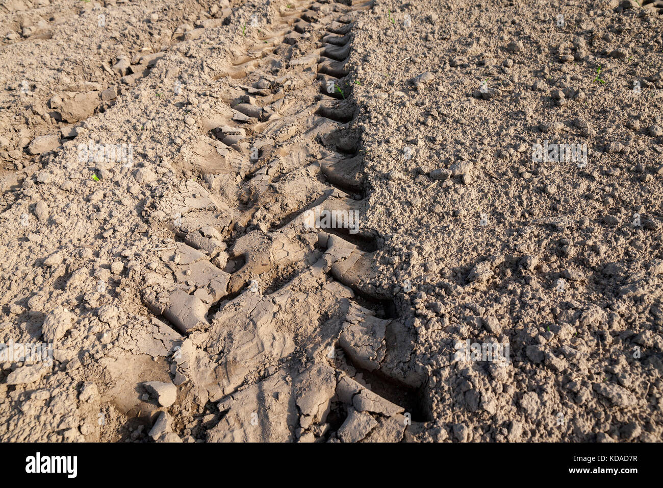 Le tracce delle ruote sul campo Foto Stock