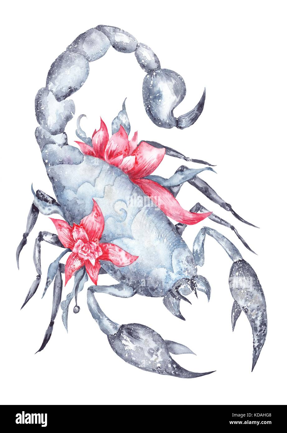 La costellazione dello zodiaco simbolo dipinto a mano in stile romantico con fiori di colore rosso Foto Stock La costellazione dello zodiaco simbolo dipinto a mano in stile romantico con fiori di colore rosso Foto Stock