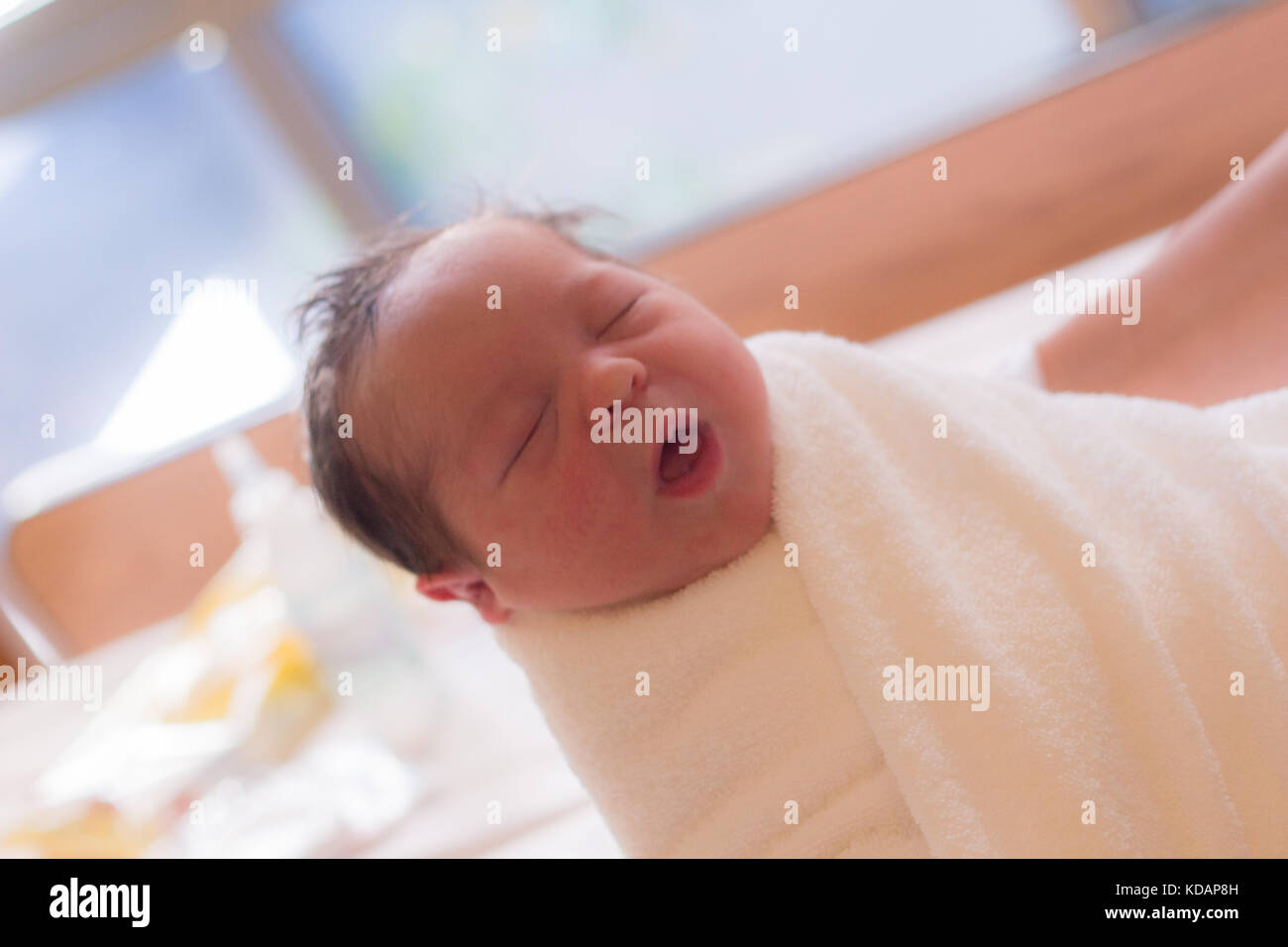 Mano umana tenendo un neonato ragazza avvolto in un asciugamano Foto Stock