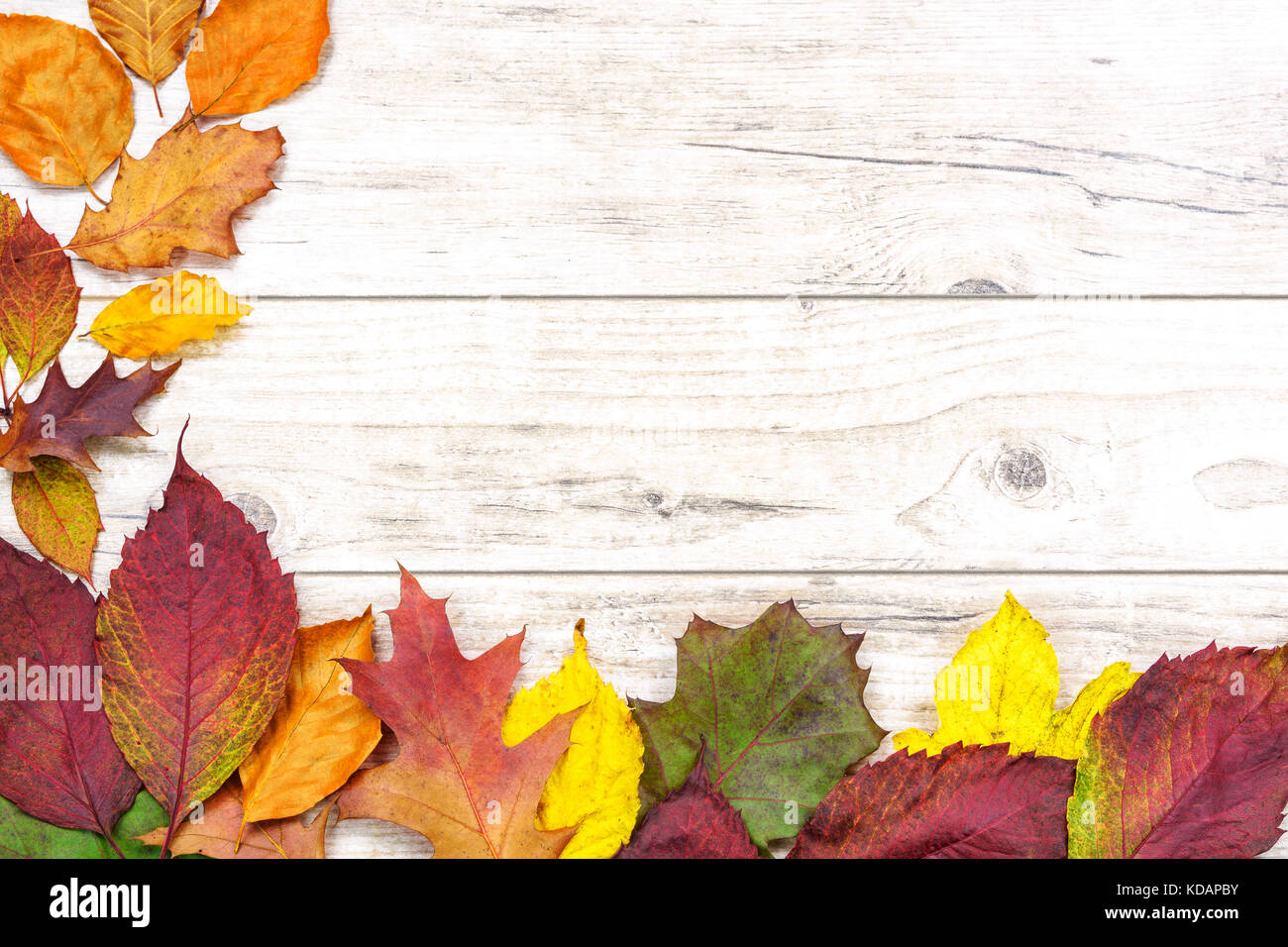 Autunno magnifico sfondo - multicolore di foglie colorate su di un tavolo di legno con copia posto. Foto Stock