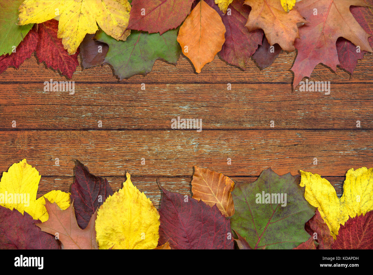 Autunno magnifico sfondo - multicolore di foglie colorate su una vendemmia in legno tavolo con posto di copia. Foto Stock