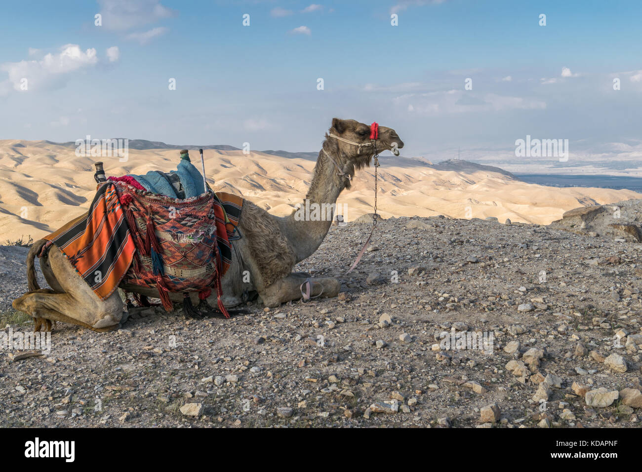 pronto ad andare Foto Stock