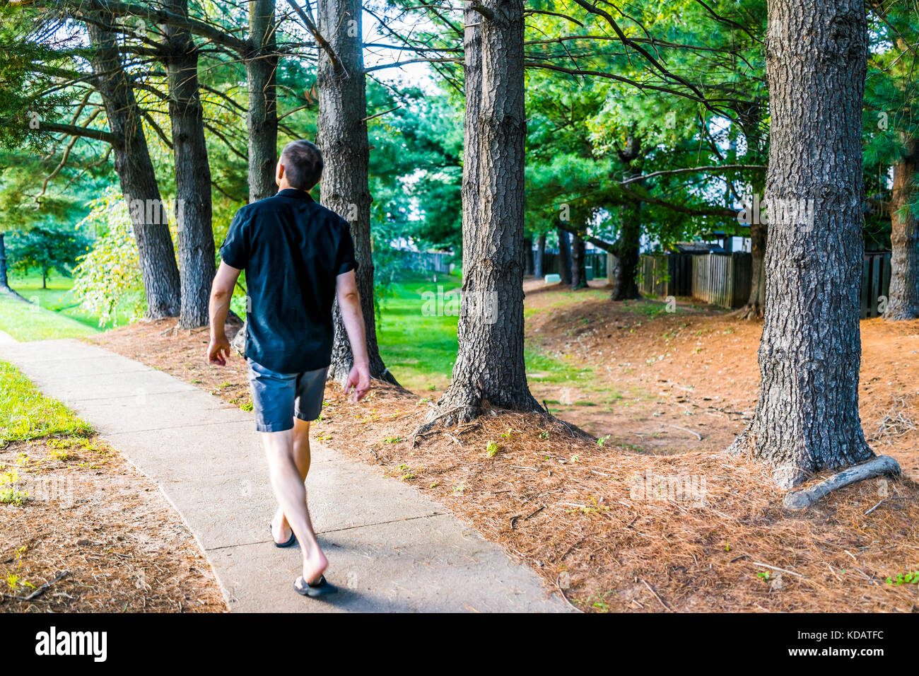 Marciapiede con fila di alberi in arancione telone nella zona suburbana con il percorso e il giovane uomo che cammina Foto Stock