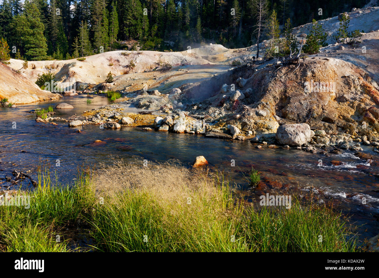 Hot Springs Creek fluisce attraverso i diavoli zona cucina del Parco Nazionale vulcanico di Lassen Foto Stock