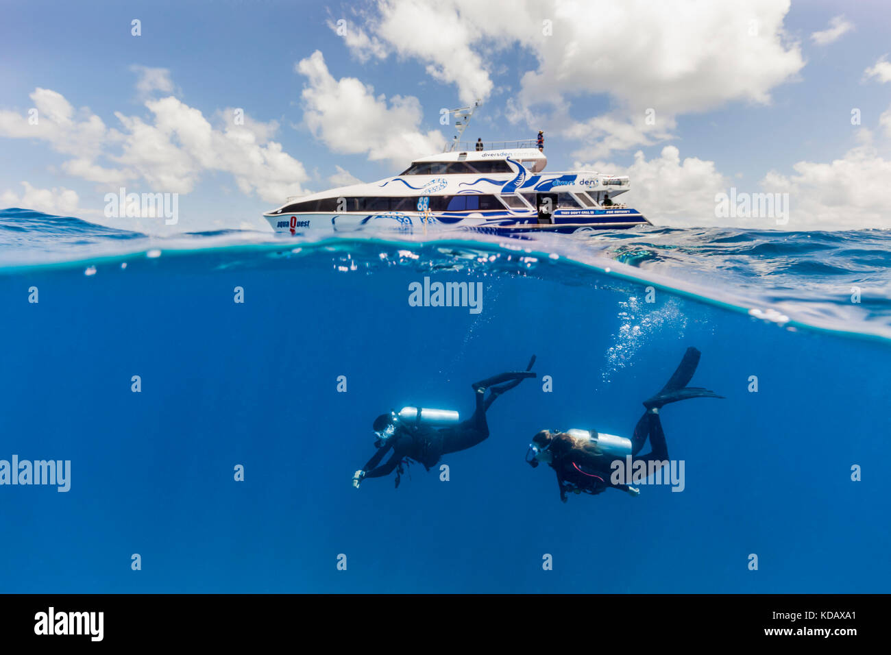 Split shot di sub ed immersioni a Agincourt Reef, Great Barrier Reef Marine Park, Port Douglas, Queensland, Australia Foto Stock