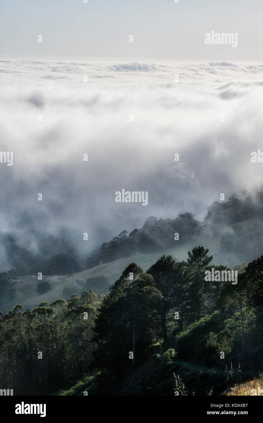 Vista dalla cima di Berkeley Hills di nebbia la baia di San Francisco, California, Stati Uniti d'America Foto Stock