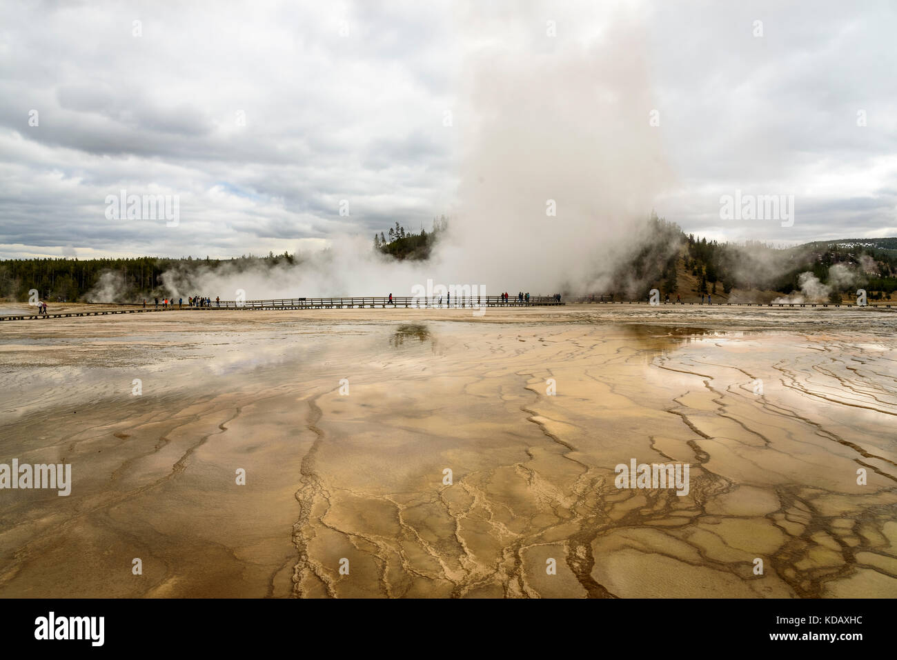 Persone non identificabili correndo per vedere il Grand Prismatic Spring il parco nazionale di Yellowstone in un giorno nuvoloso Foto Stock