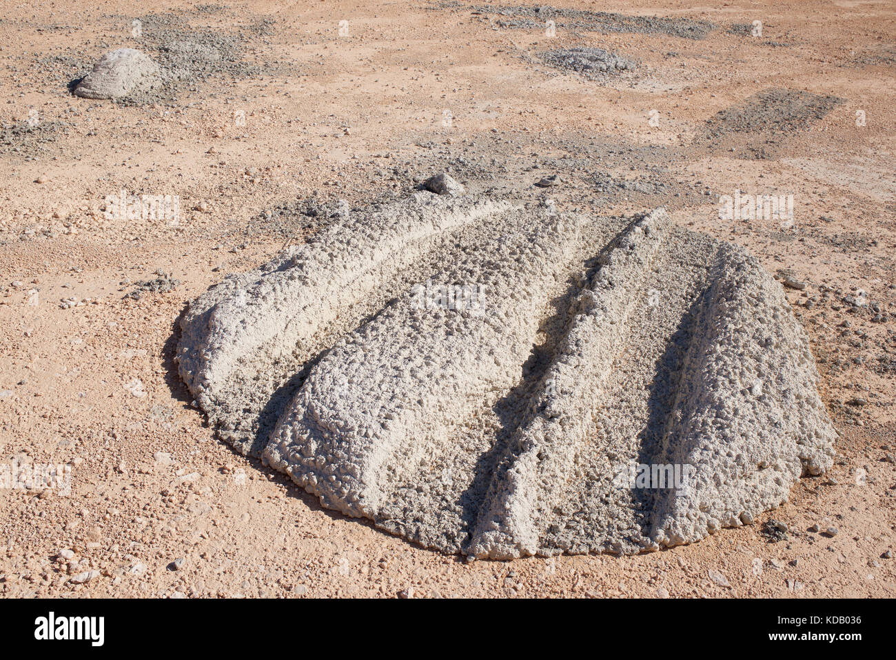 Tracce di pneumatici attraverso il calcestruzzo bagnato su un sito Foto Stock