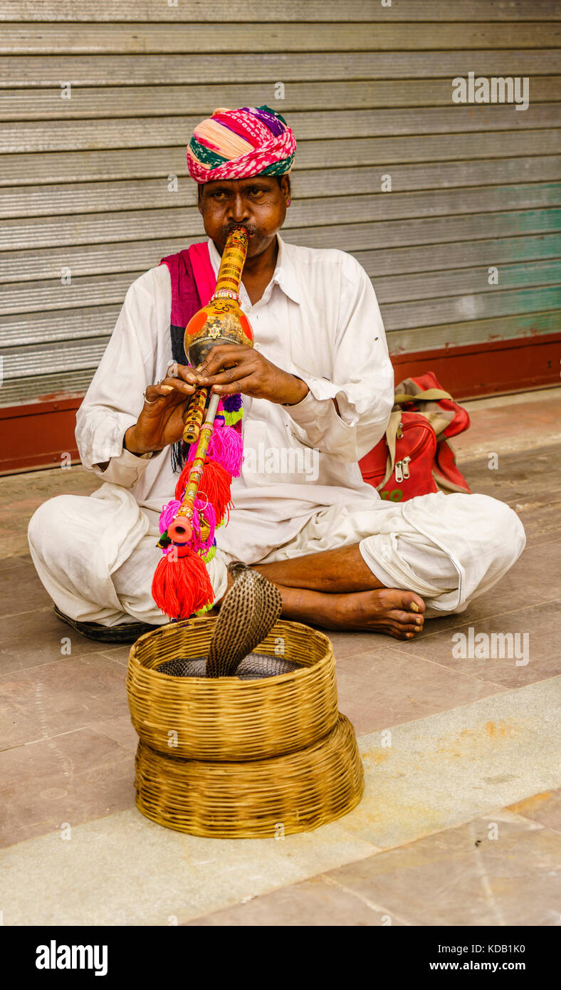 Incantatori Di Serpenti Al Lavoro Per Le Strade Di Jaipur India Foto Stock Alamy