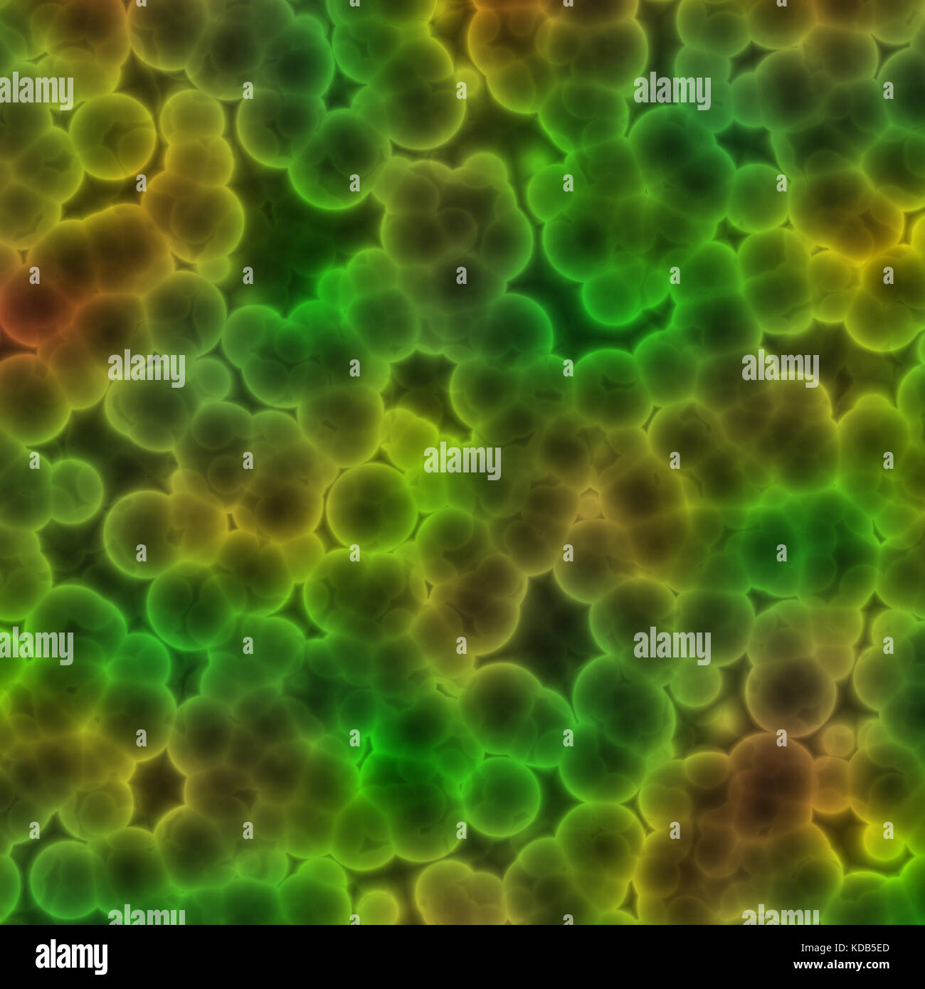 Le cellule organiche nel fluido visto attraverso il telescopio Foto Stock