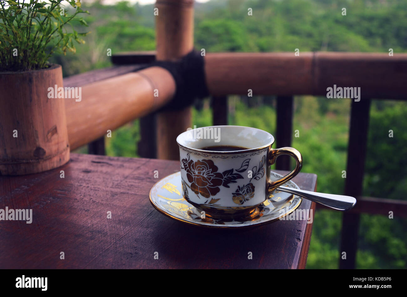 Tazza di caffè con la piantagione di caffè e la giungla in background, Ubud, Bali (Instagram stile filtro) Foto Stock