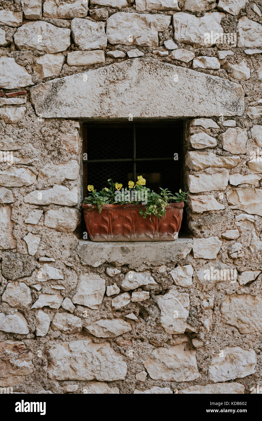 Pansies giallo che cresce in una finestra di un italiano casa di pietra Foto Stock