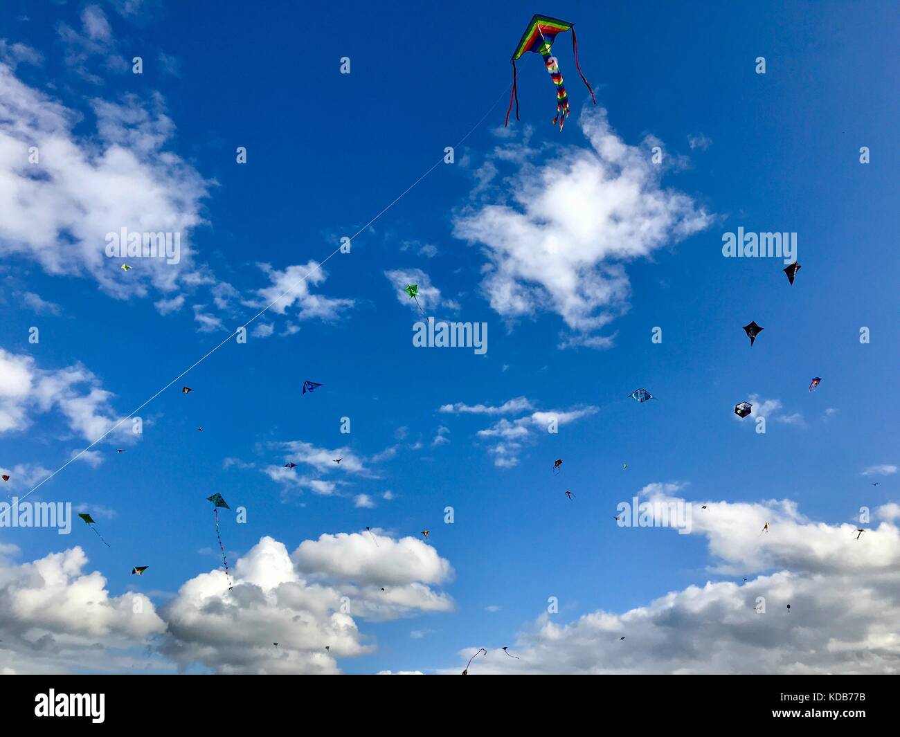 Decine di aquiloni sono volare nel cielo nuvoloso su un ventoso giorni di autunno Foto Stock