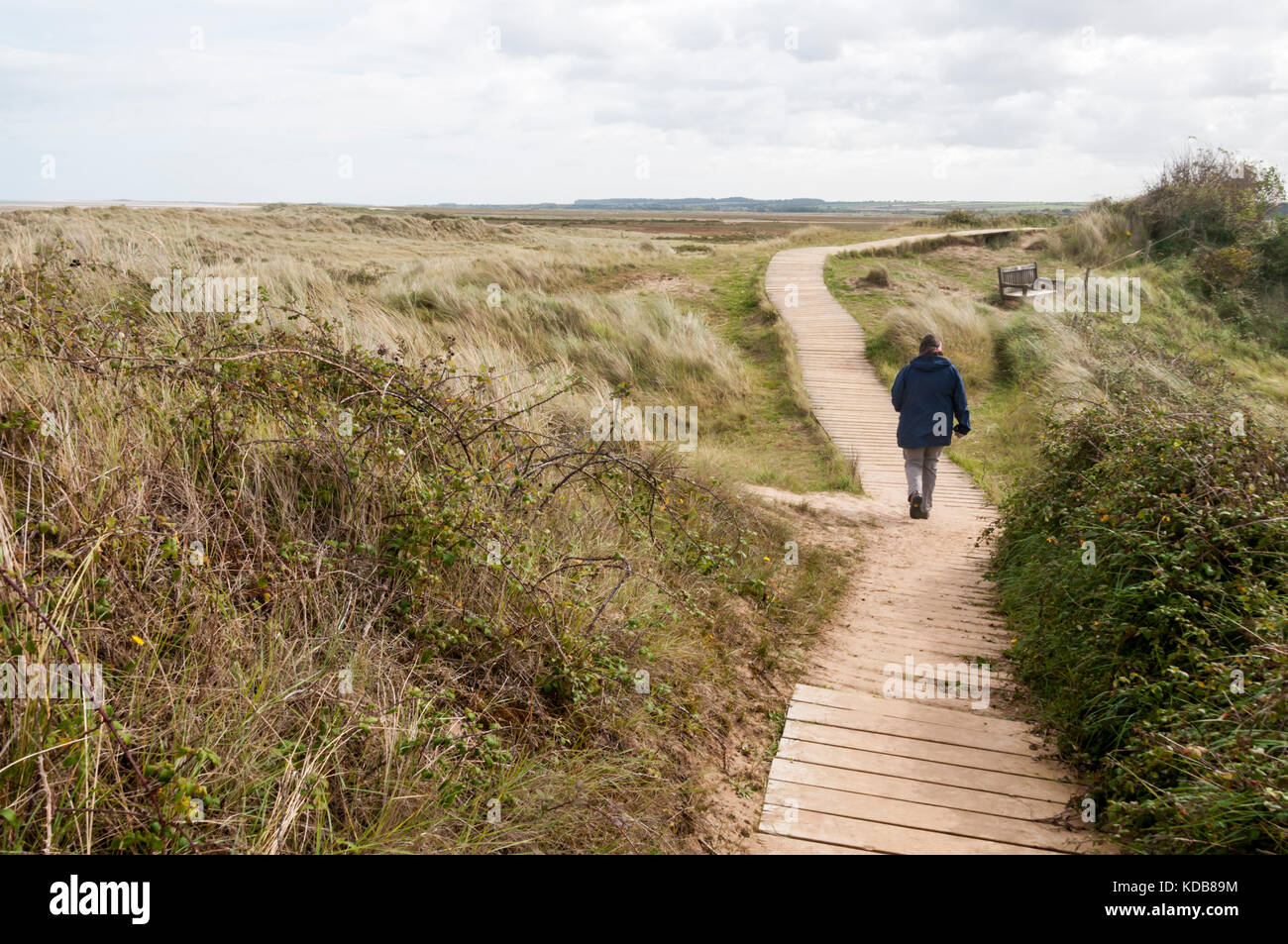 Donna che cammina sul Boardwalk attraverso le dune a Holme sulla Costa North Norfolk. Foto Stock