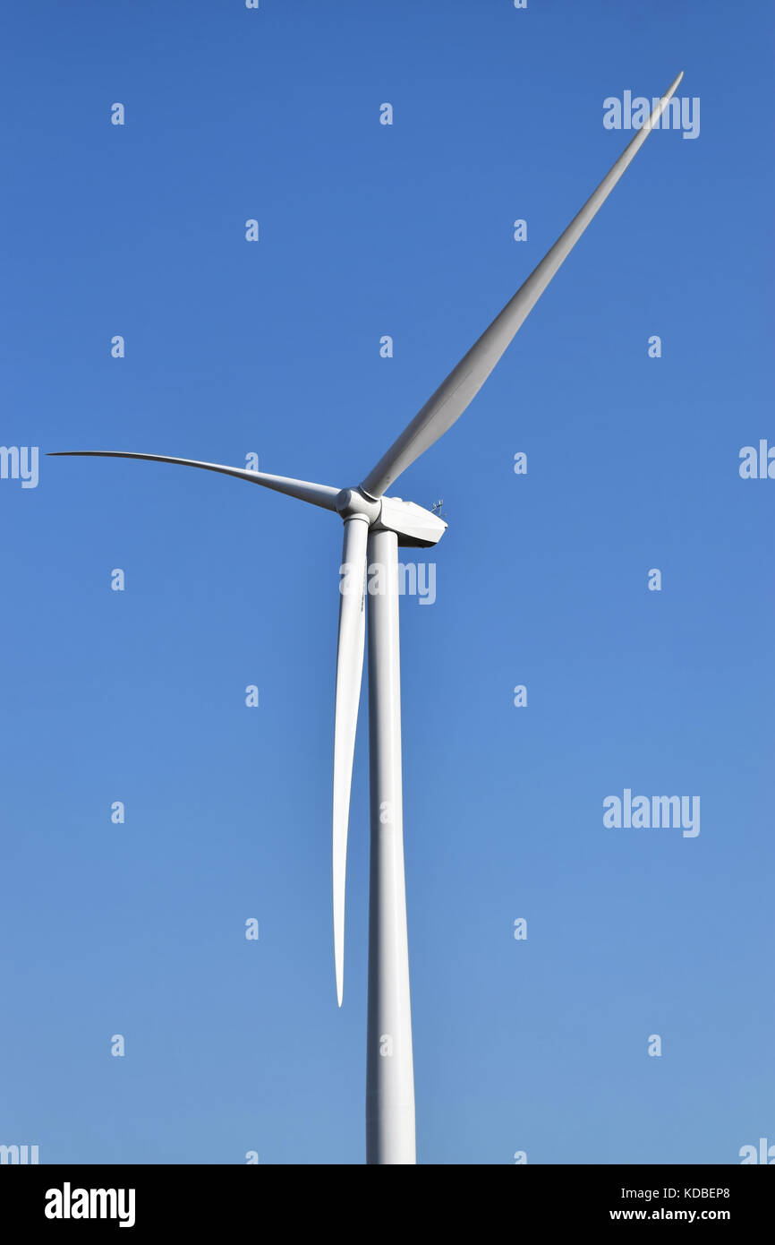 Wind Farm in alibunar, serbia Foto Stock