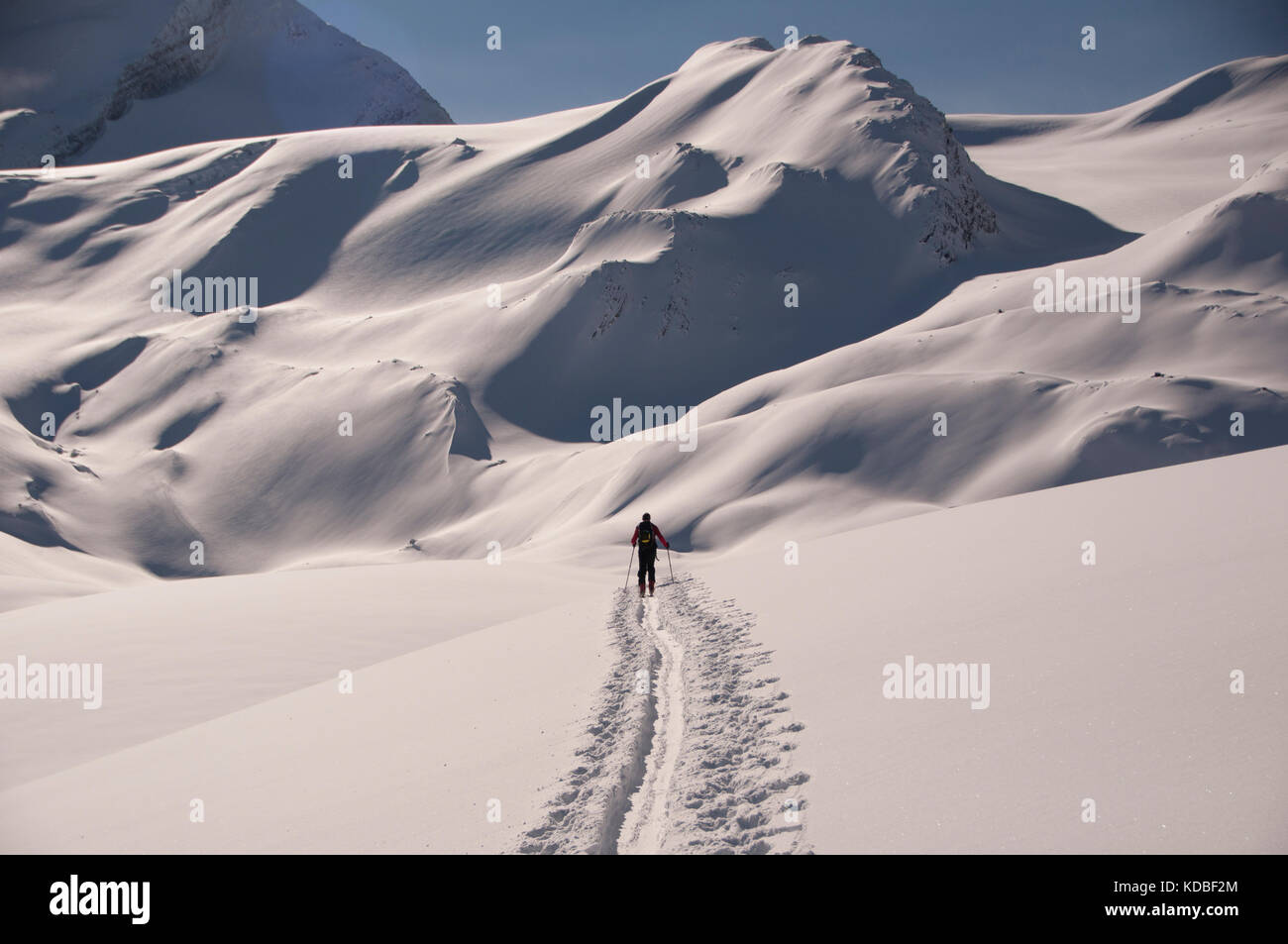 Solo indietro-paese sciatore salendo verso il monte Baker, Canadian Rockies, British Columbia, Canada Foto Stock