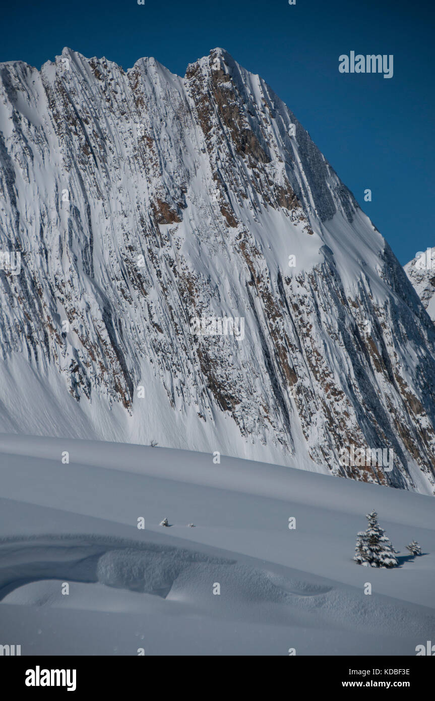 Paleozoico le rocce sedimentarie coperto di neve nei pressi di mistaya mountain, British Columbia, Canada Foto Stock