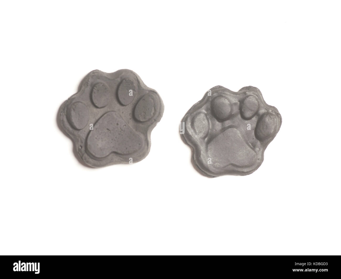 Footprint animale isolato su sfondo bianco Foto Stock