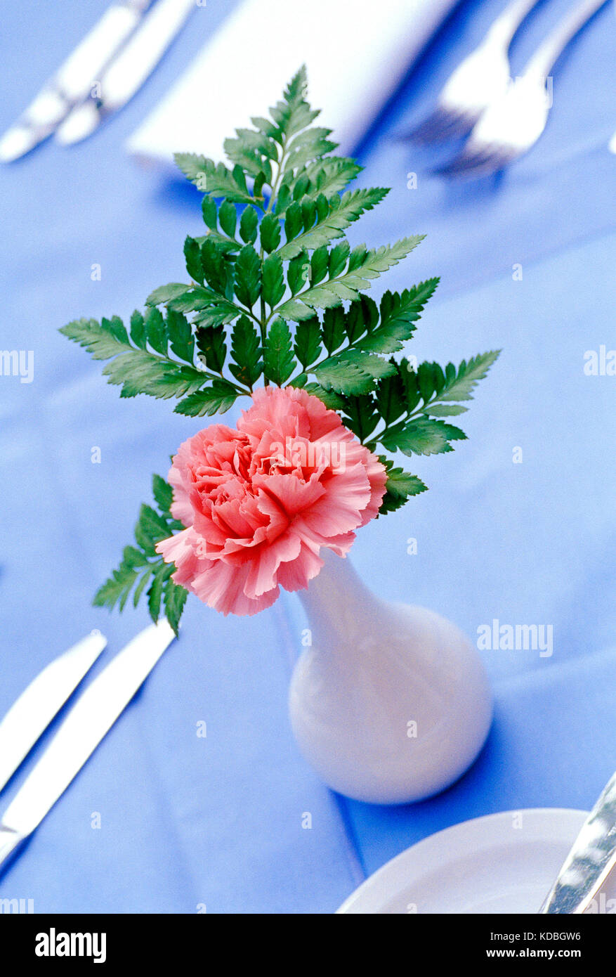 Ancora in vita. Garofano rosa in vaso sul tavolo da pranzo. Foto Stock