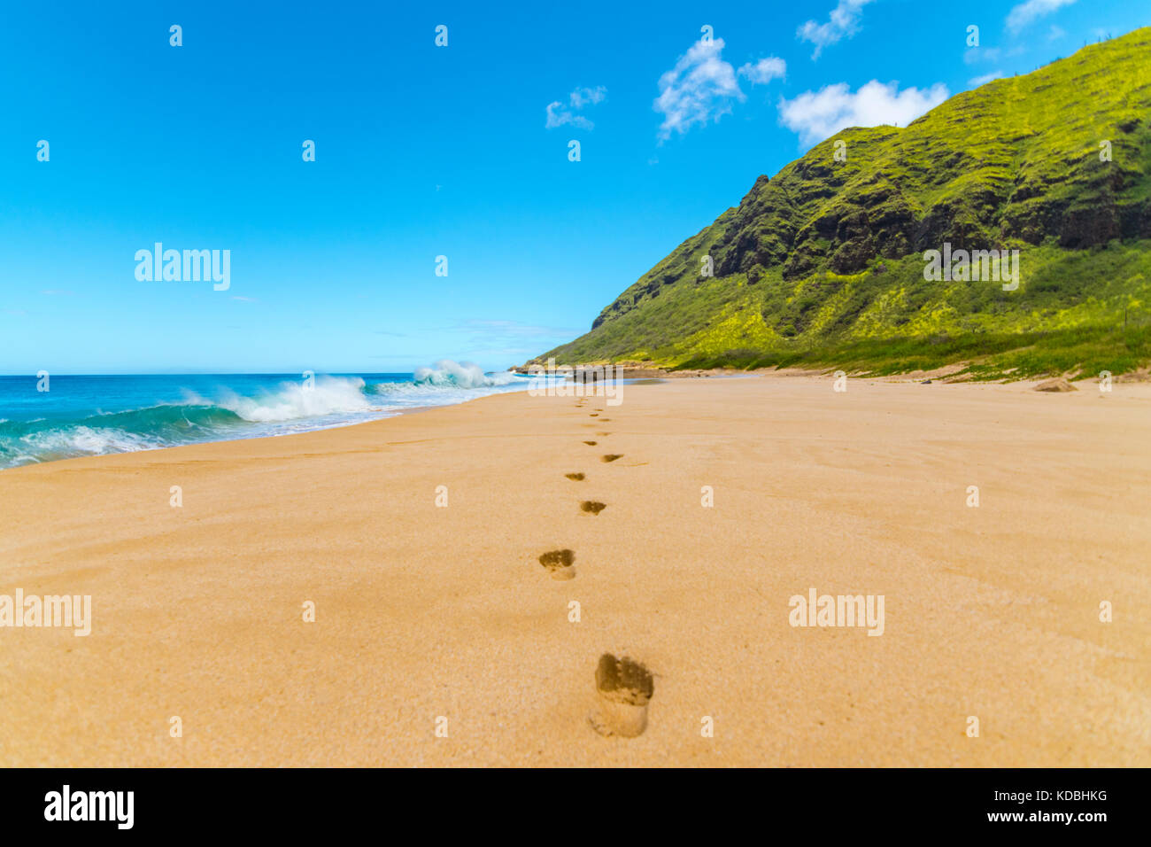 Belle spiagge a Ka'ena Point State Park sull'isola di Oahu, Hawaii. Foto Stock