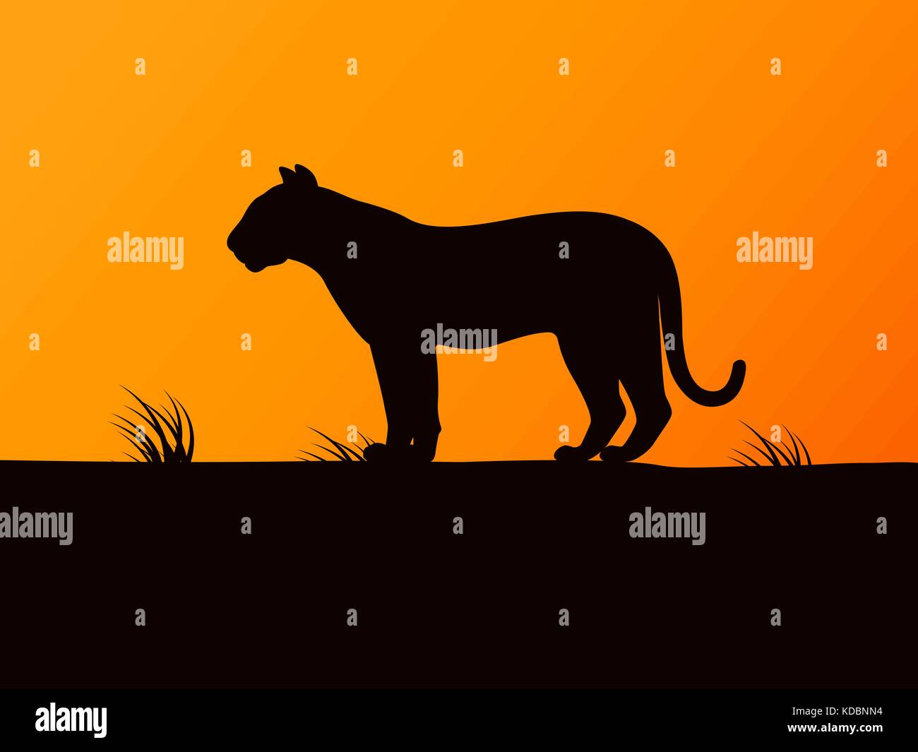 Vettore silhouette nera tiger sul tramonto Illustrazione Vettoriale