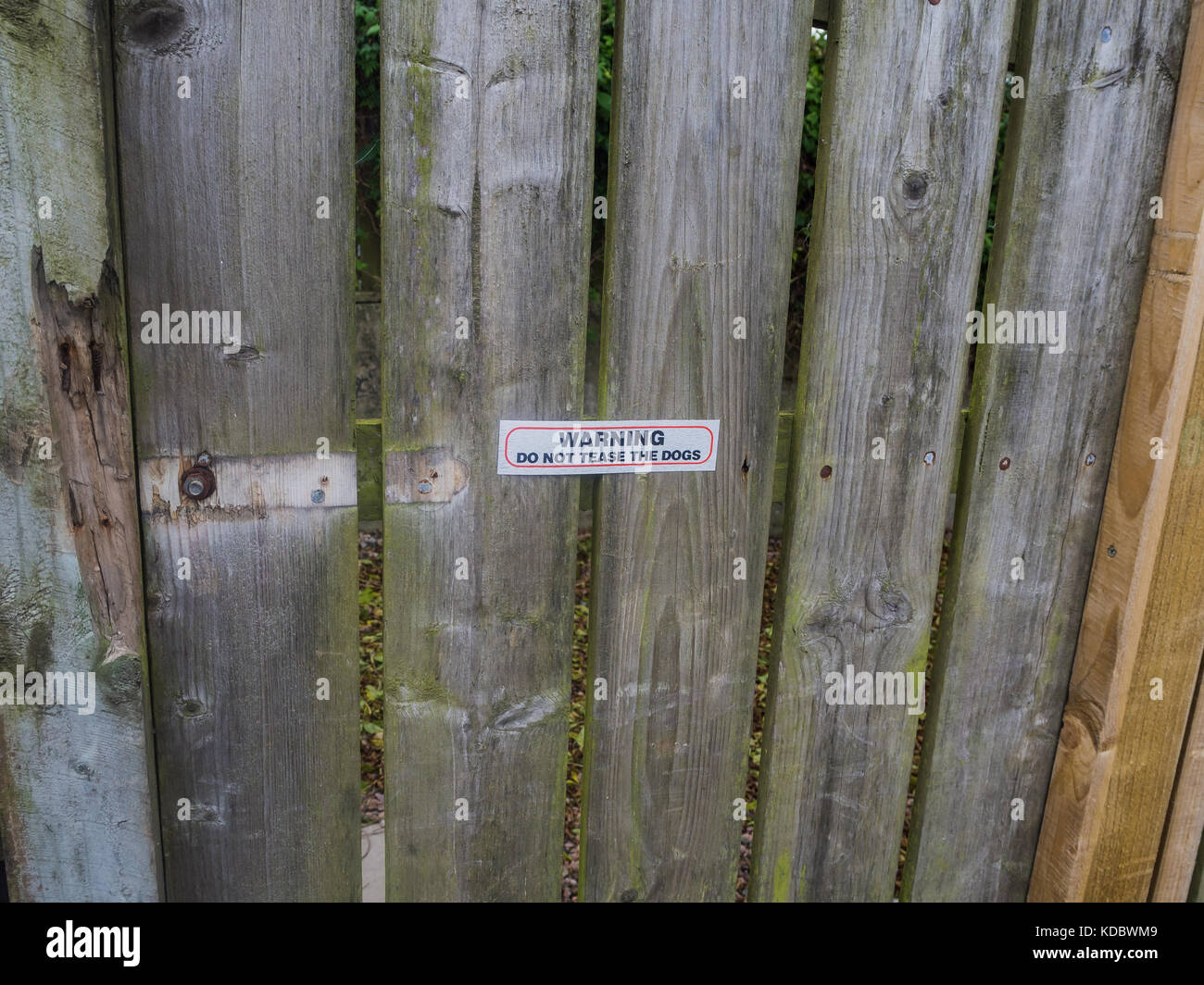 Non stuzzicare i cani Foto Stock