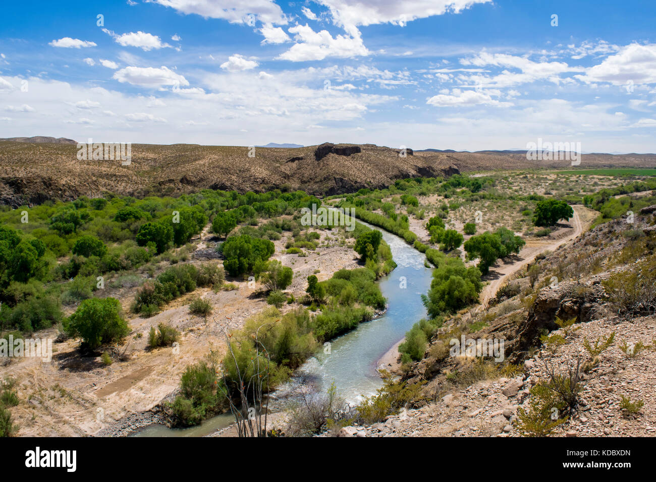 Gila River che scorre attraverso la casella di Gila rivierasche National Conservation Area vicino Safford, Arizona. Gestiti dal Bureau of Land Management. Foto Stock