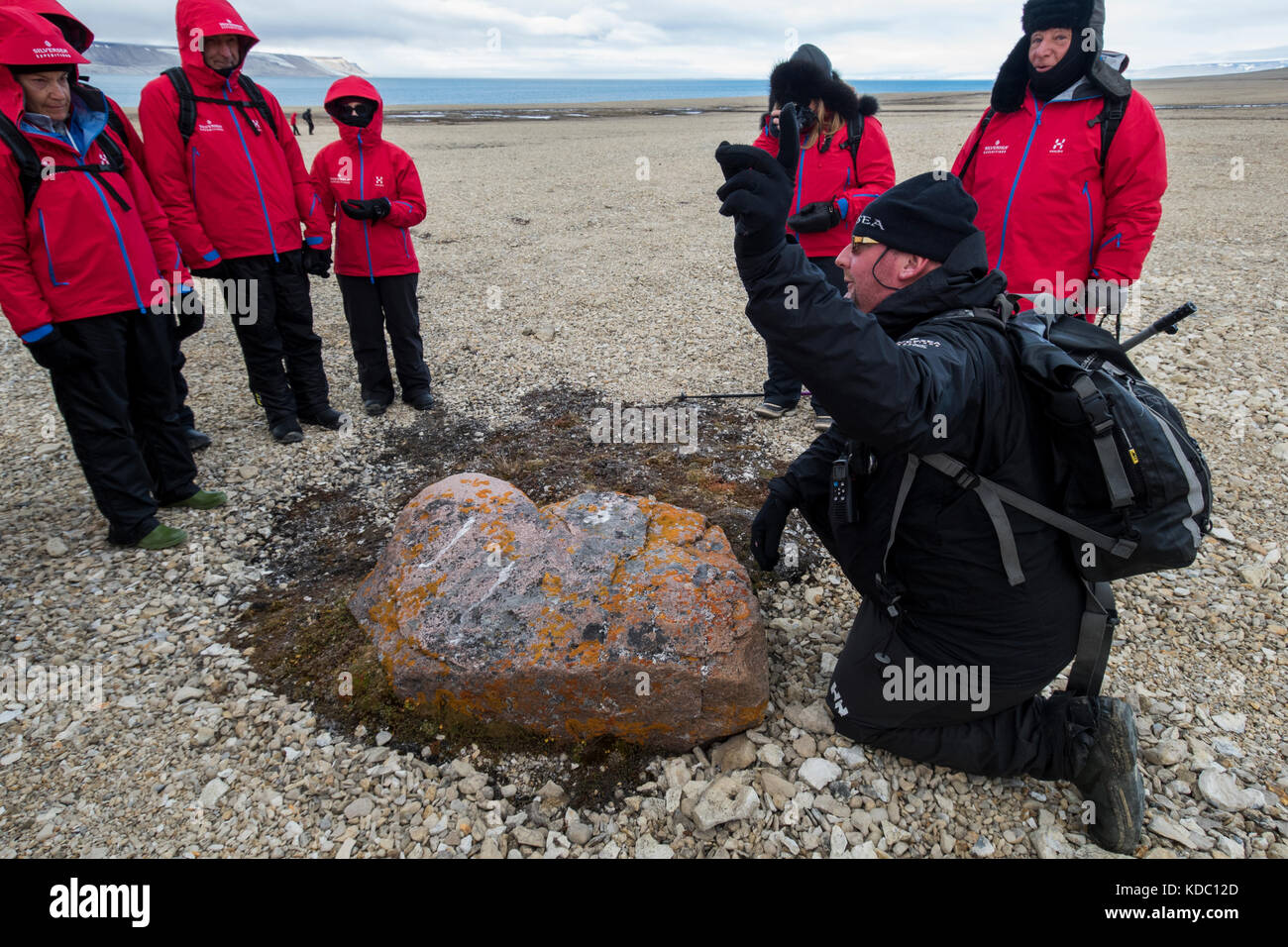 Norvegia Isole Svalbard, nordaustlandet, nordaust-svalbard riserva naturale, area planderbukta, zeipelodden. grande masso che ripara una piccola micro clima. Foto Stock