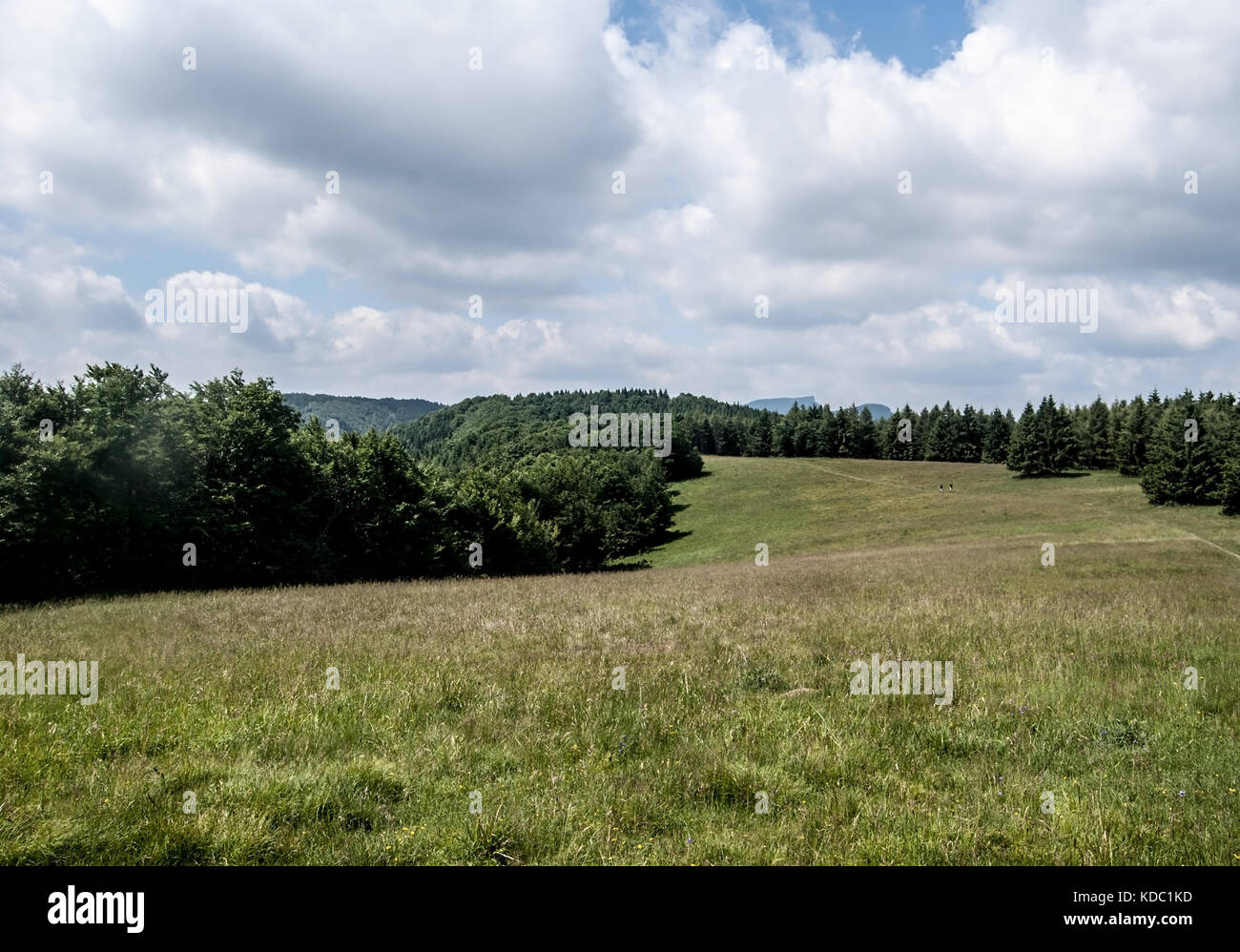 Monte prato con alberi intorno e colline sullo sfondo vicino jankova hill in mala fatra montagne in Slovacchia Foto Stock
