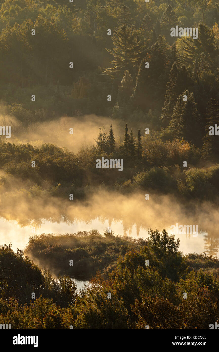 La nebbia e il rotolo di nebbia attraverso i boschi e giardino creek come il sole sorge oltre il porto di rame michigan Foto Stock