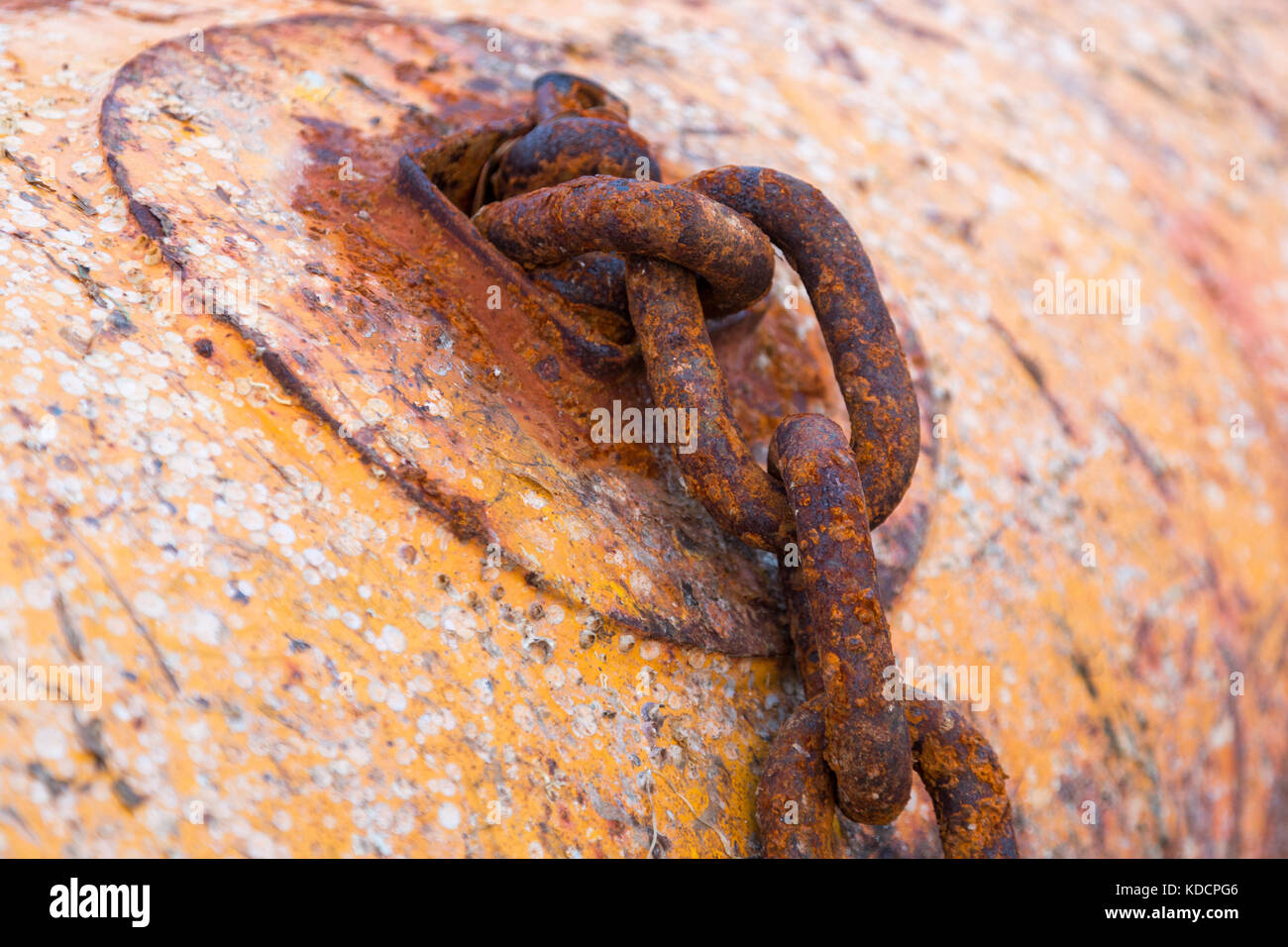 Un arrugginito 44 galon tamburo e catena in Sud Australia Foto Stock