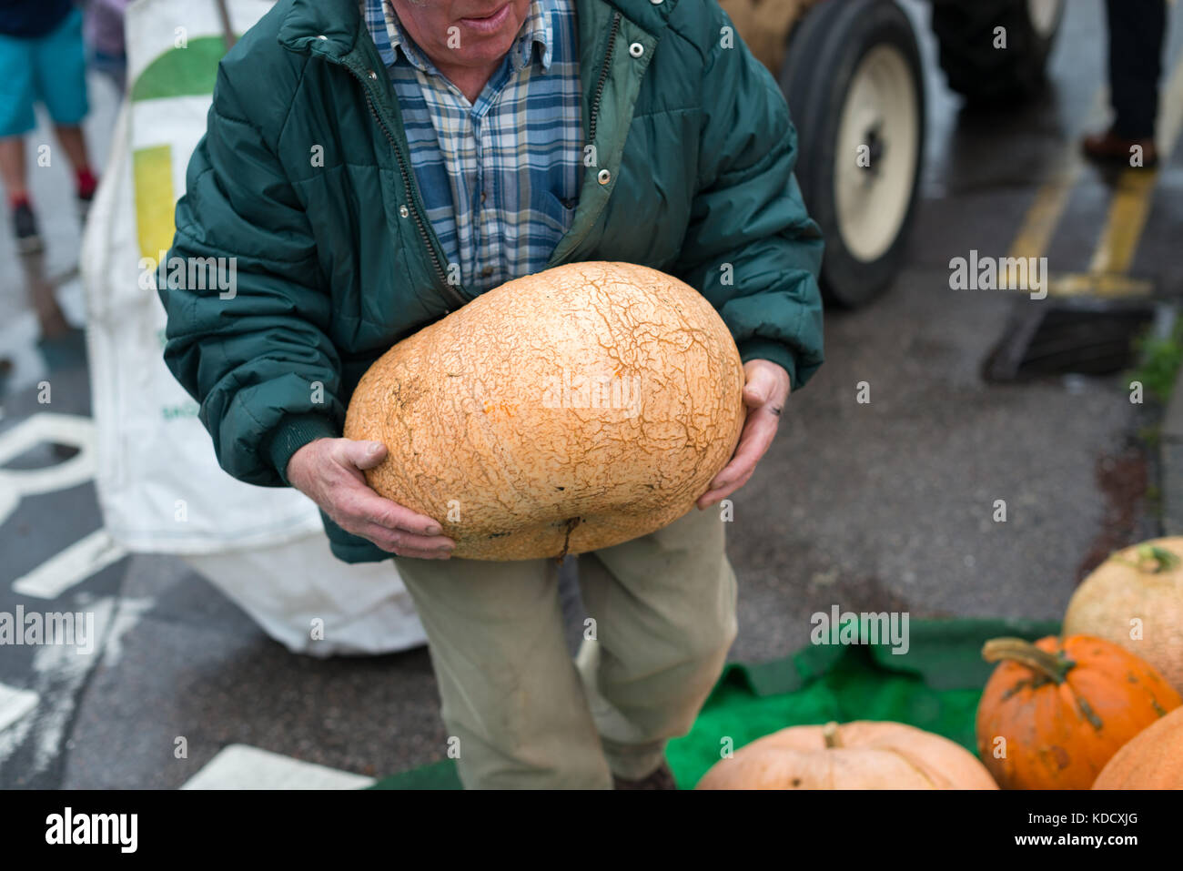 Dopo aver pesato un uomo fa fatica a tenere una grande zucca come egli ritorna all'area di visualizzazione in zucca annuale pesare a Steyning agricoltori M Foto Stock