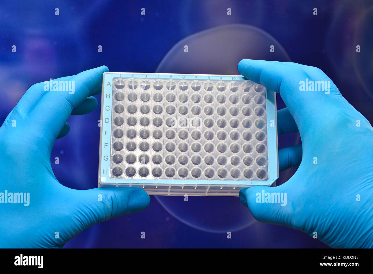 Nella ricerca biotecnologica, l'uso della tecnologia cellulare. Le attrezzature scientifiche del laboratorio biologico. Foto Stock