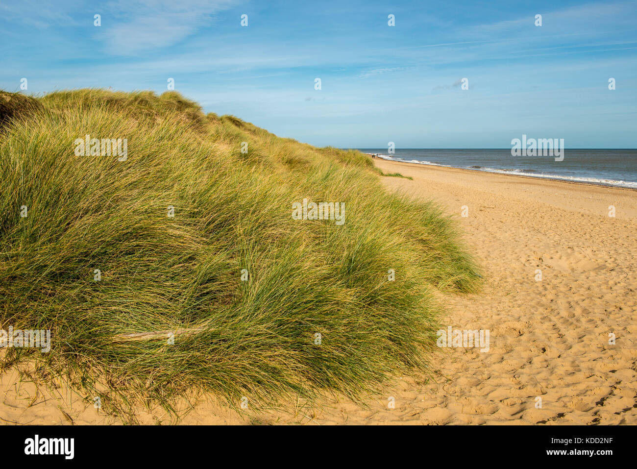 Winterton Beach a Norfolk, Inghilterra, Regno Unito Foto Stock