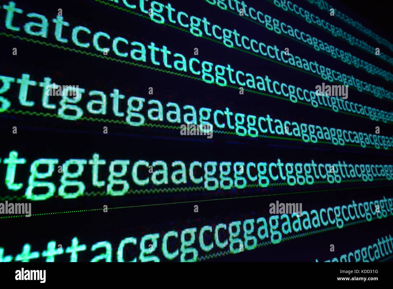 Il sequenziamento del genoma. sequenza di basi nucleotidiche nel DNA. Foto Stock