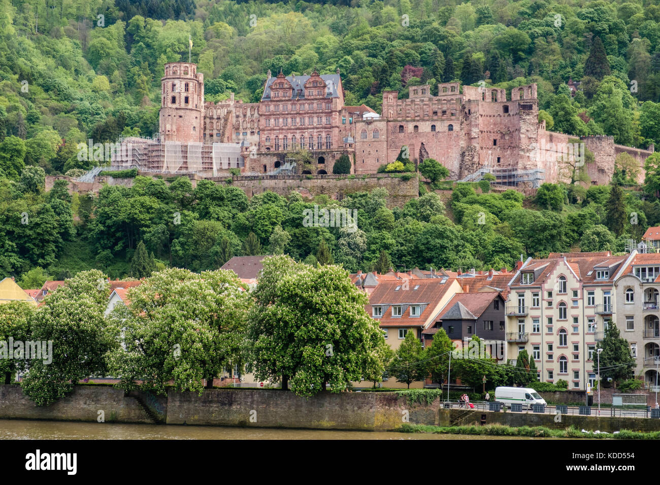 Bella vista del castello di Heidelberg e il fiume Neckar, Heidelberg, Germania. Foto Stock
