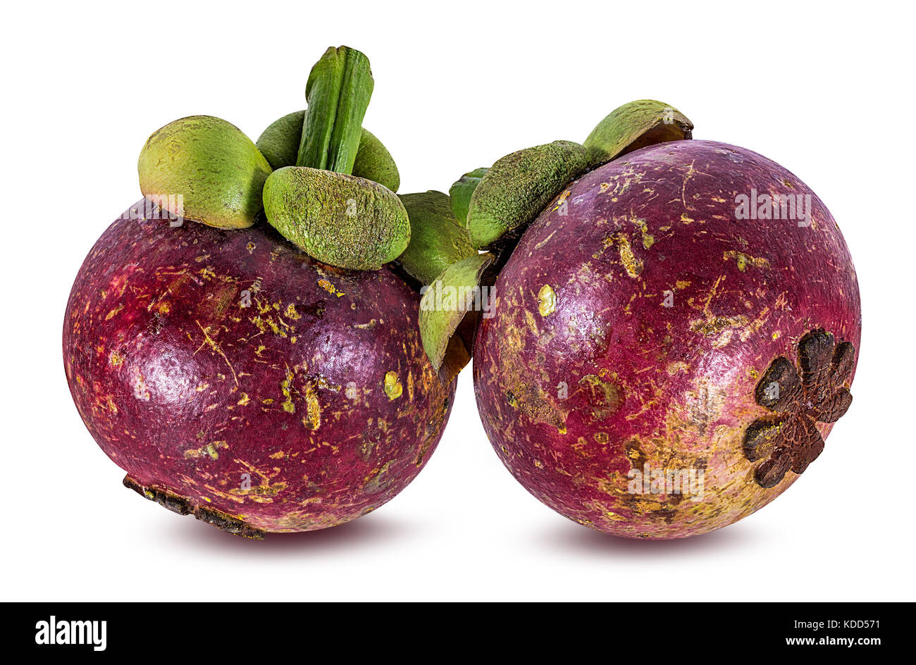 Mangosteen isolati su sfondo bianco Foto Stock