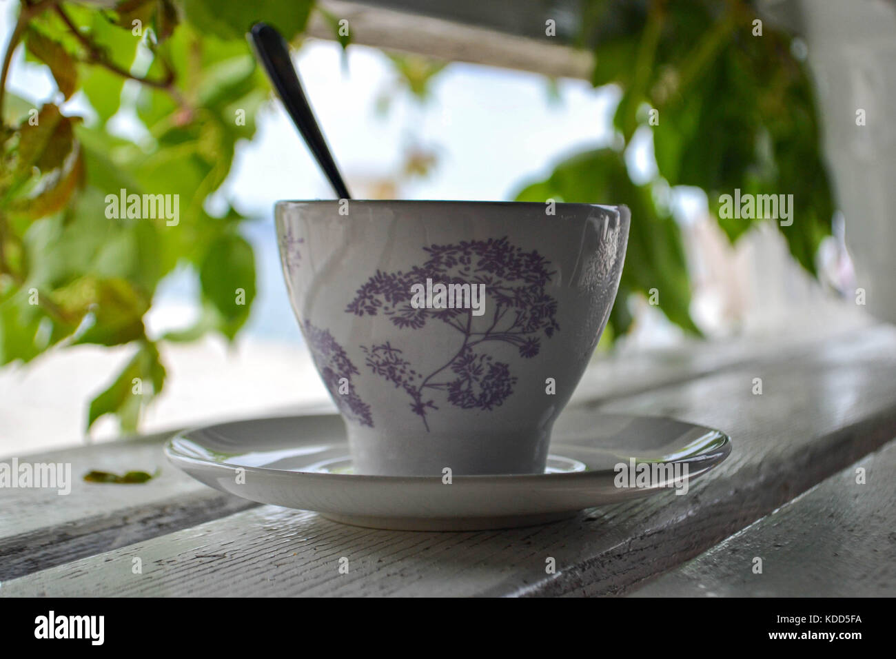 White tazza di caffè al banco di legno in giardino Foto Stock