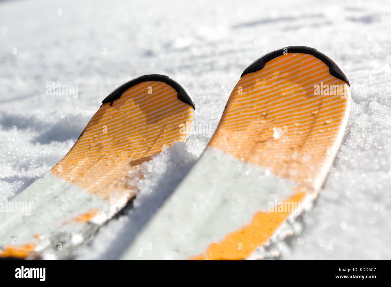 Sciare sulla neve Foto Stock