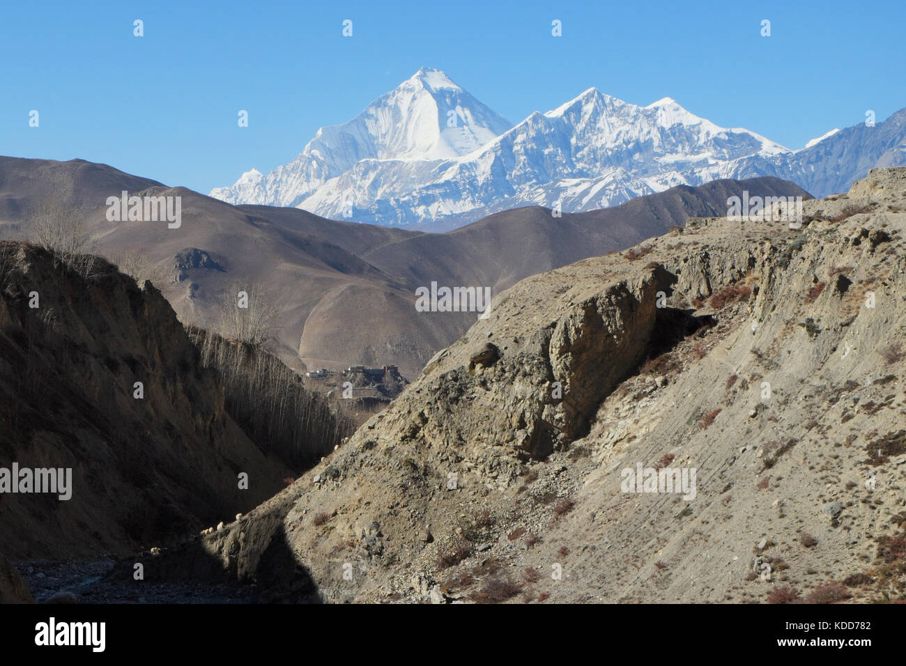 Vista del nilgiri mountain Foto Stock