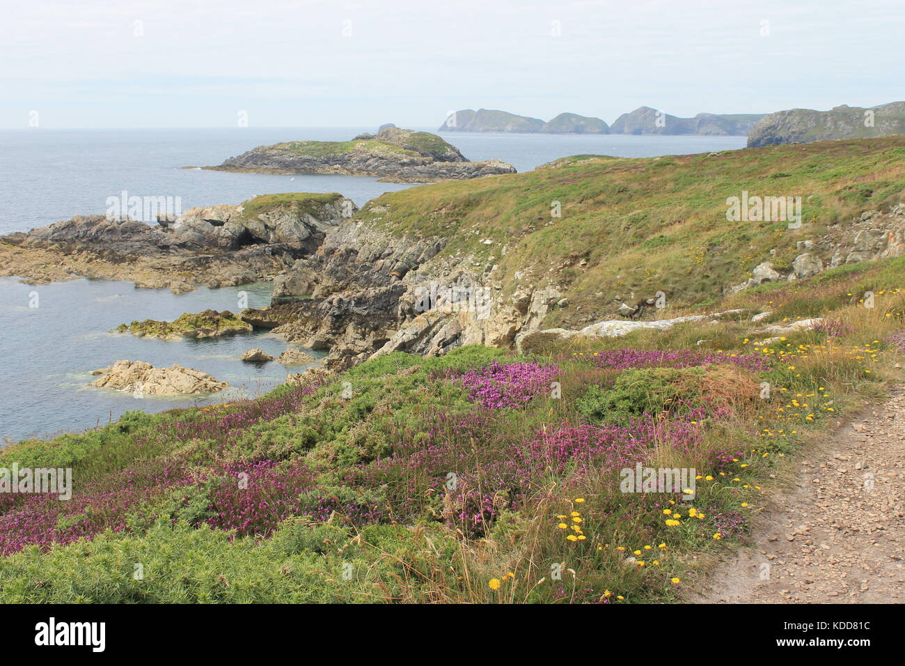 Voce verso ovest sul Il Pembrokeshire Coast Path visualizzazione di isolotti di Carreg yr Esgob e (fondo) Ramsey Island, Pembrokeshire, Wales, Regno Unito Foto Stock