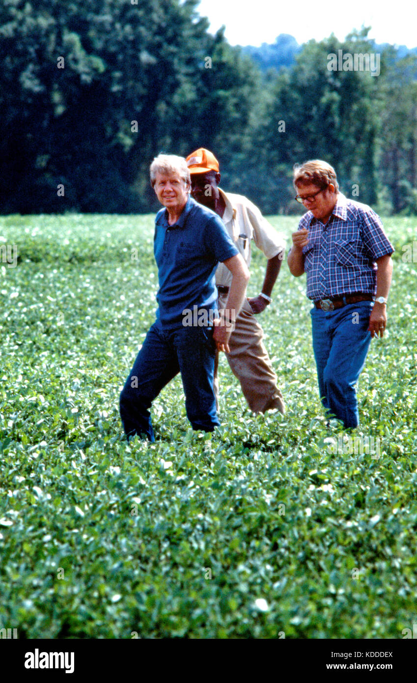 Il presidente Jimmy Carter e suo fratello Billy Carter sono uniti da un affittuario come esse valutano la loro estate raccolto di arachidi. I carradori propri tratti di f Foto Stock