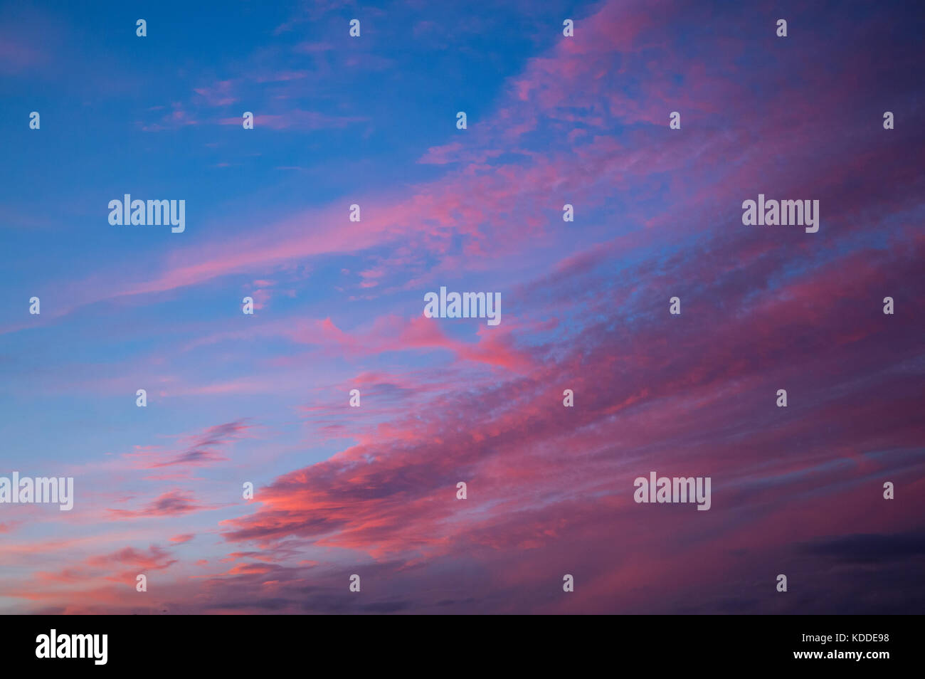 Serata autunnale tramonto visto su framingham SUFFOLK REGNO UNITO Inghilterra con wispy sparse rosa e golden orange wispy alta altitudine cirrocumulus nuvole Foto Stock