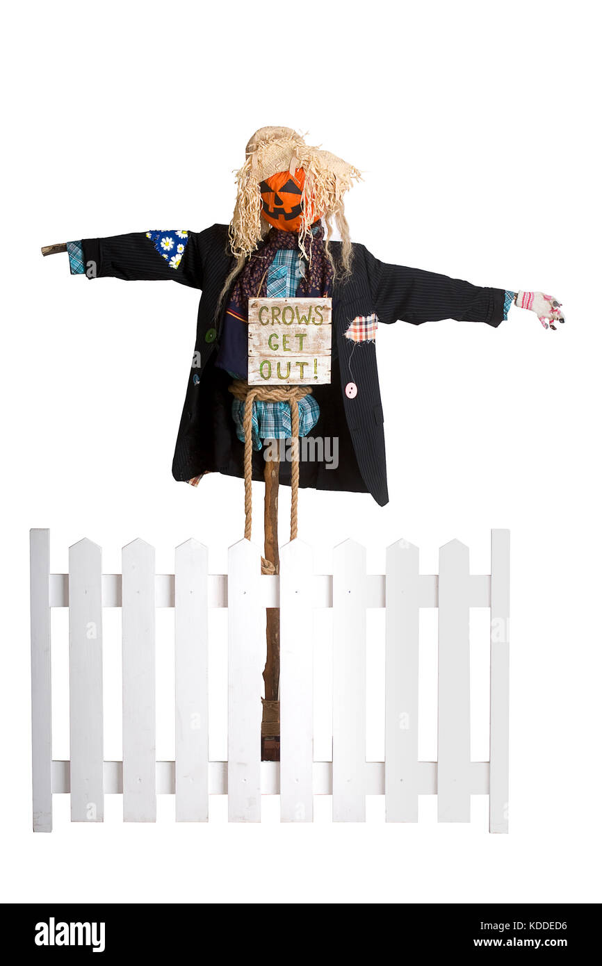 Spaventapasseri divertente Foto Stock