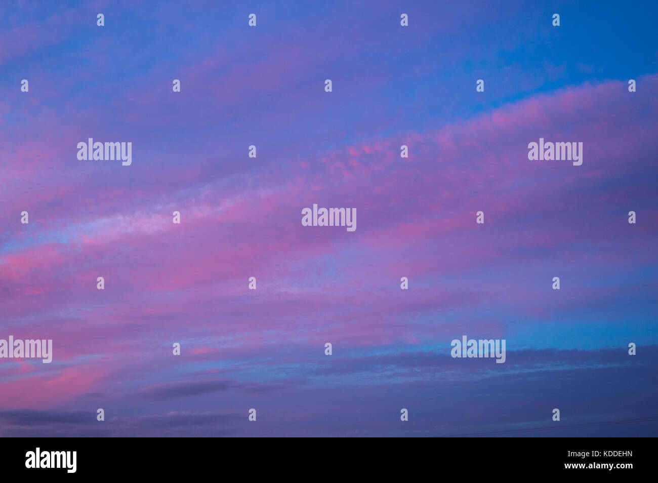 Serata autunnale tramonto visto su framingham SUFFOLK REGNO UNITO Inghilterra con wispy sparse rosa e golden orange wispy alta altitudine cirrocumulus nuvole Foto Stock